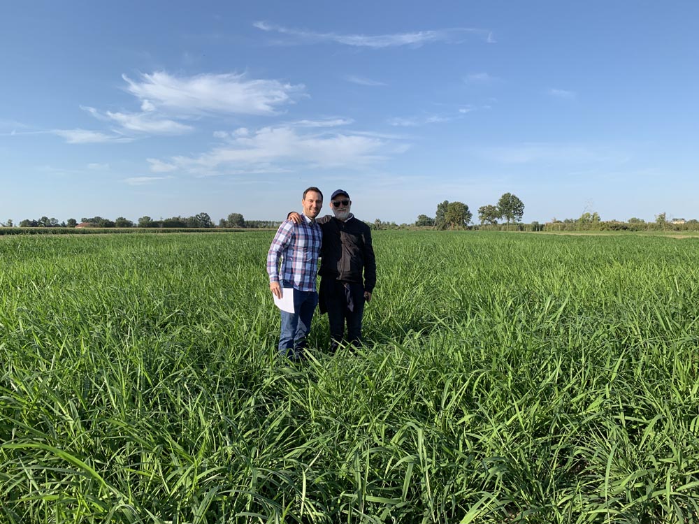Eduardo and Aliosha Stern stand together in a thriving tropical forage field